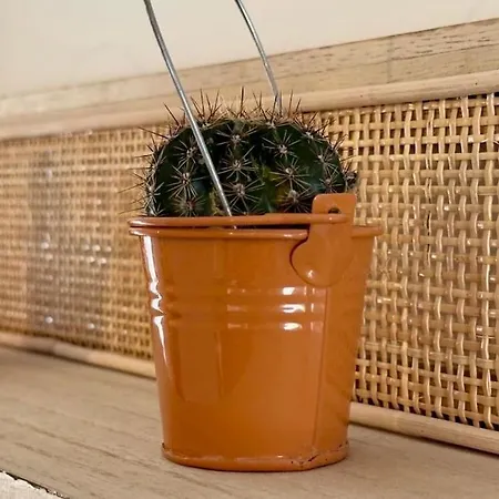 Appartement Le Tropical - T2 42m2 - Centre - Parking *