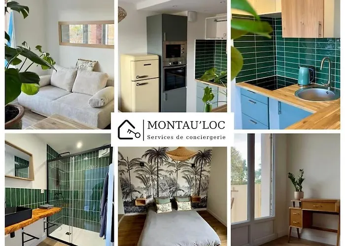 Le Tropical - T2 42m2 - Centre - Parking Montauban